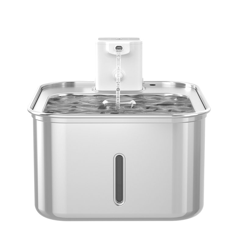 5 Places You’d Never Put a Cat Water Fountain (Until It’s Cordless)