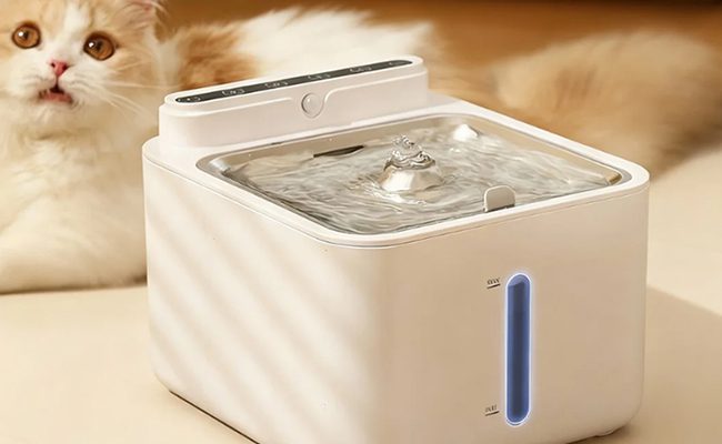 Cat drinking from a water fountain placed freely in a living space without power cable constraints
