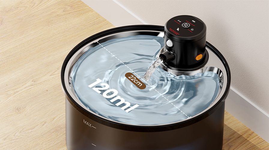 How Long Does a Cat Water Fountain Pump Last?
