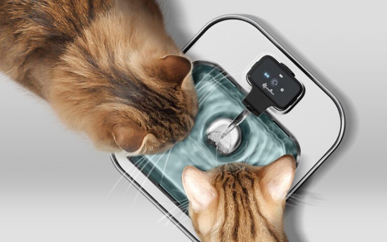 Stainless Steel Cat Fountain