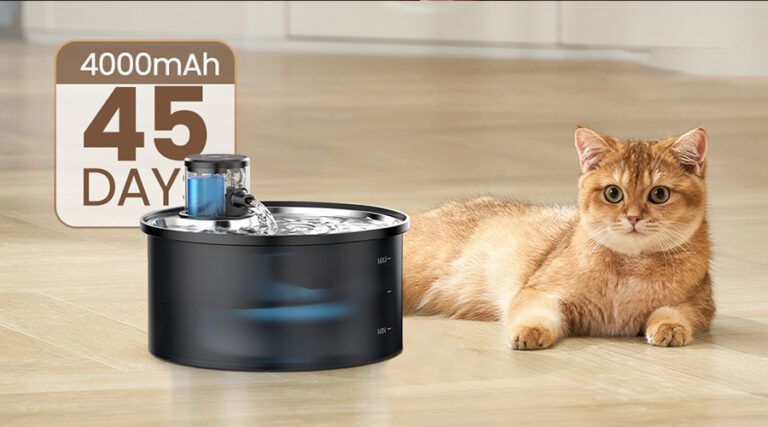 What Is the Best Water Fountain for Cats? A Wholesale Guide to High-Volume Best Sellers