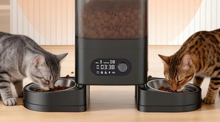 automatic-cat-feeder-capacity