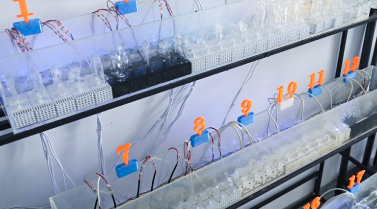 cat-fountain-pump-testing